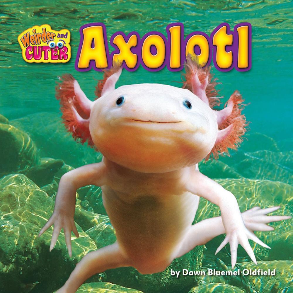 Big bigCover of Axolotl