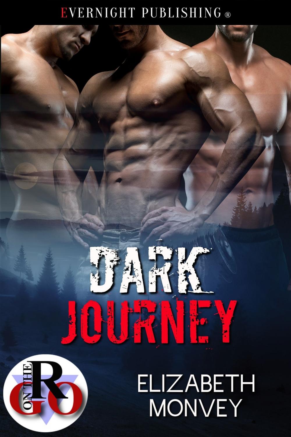 Big bigCover of Dark Journey