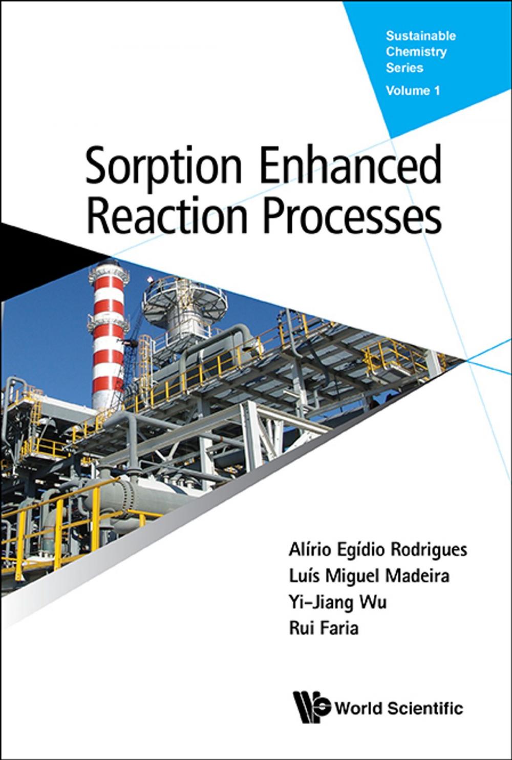 Big bigCover of Sorption Enhanced Reaction Processes