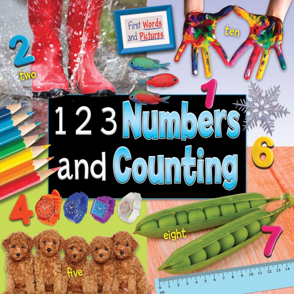 Big bigCover of 1 2 3 Numbers and Counting