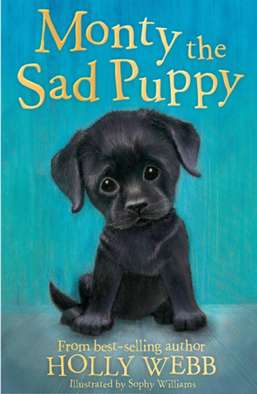 Big bigCover of Monty the Sad Puppy