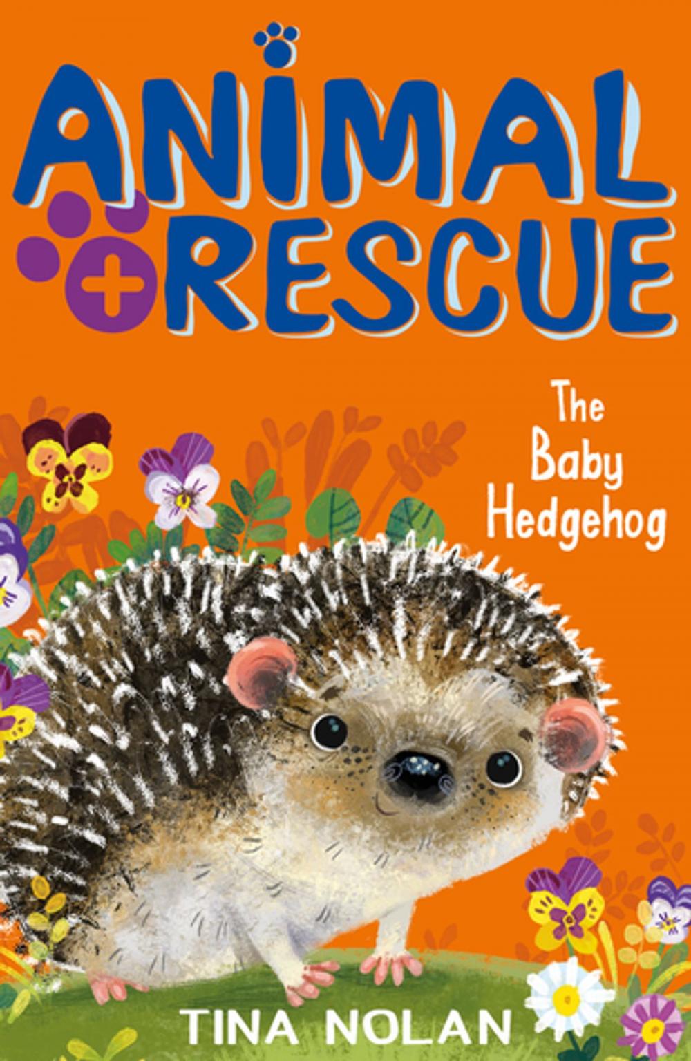 Big bigCover of The Baby Hedgehog