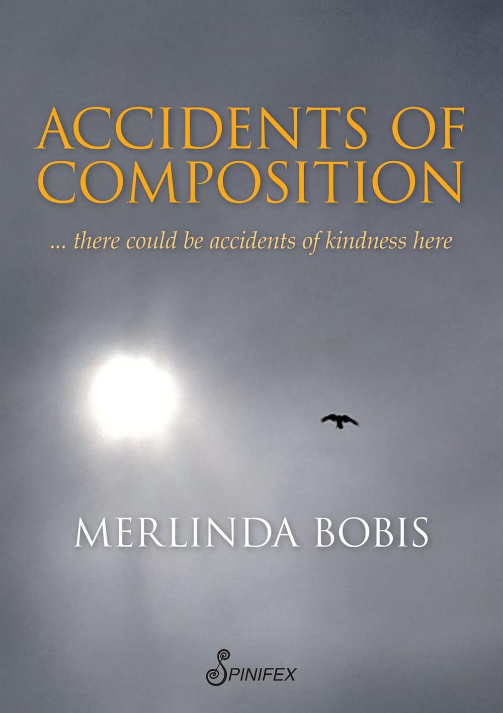 Big bigCover of Accidents of Composition