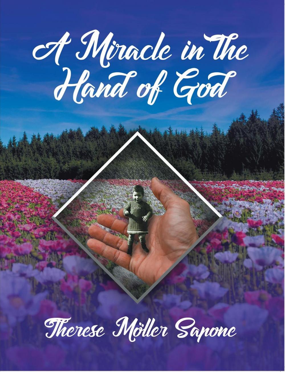 Big bigCover of A Miracle in the Hand of God