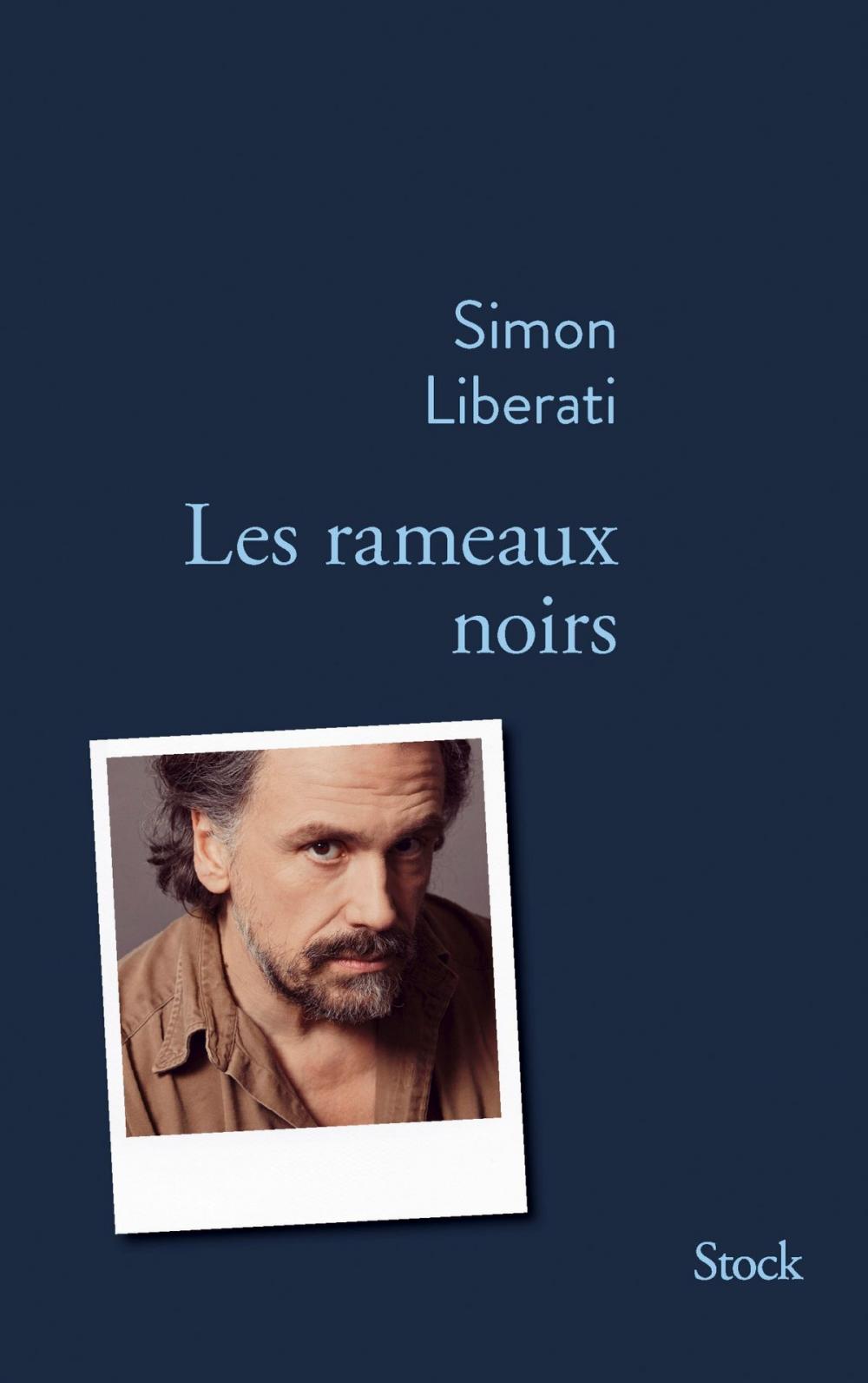 Big bigCover of Les rameaux noirs