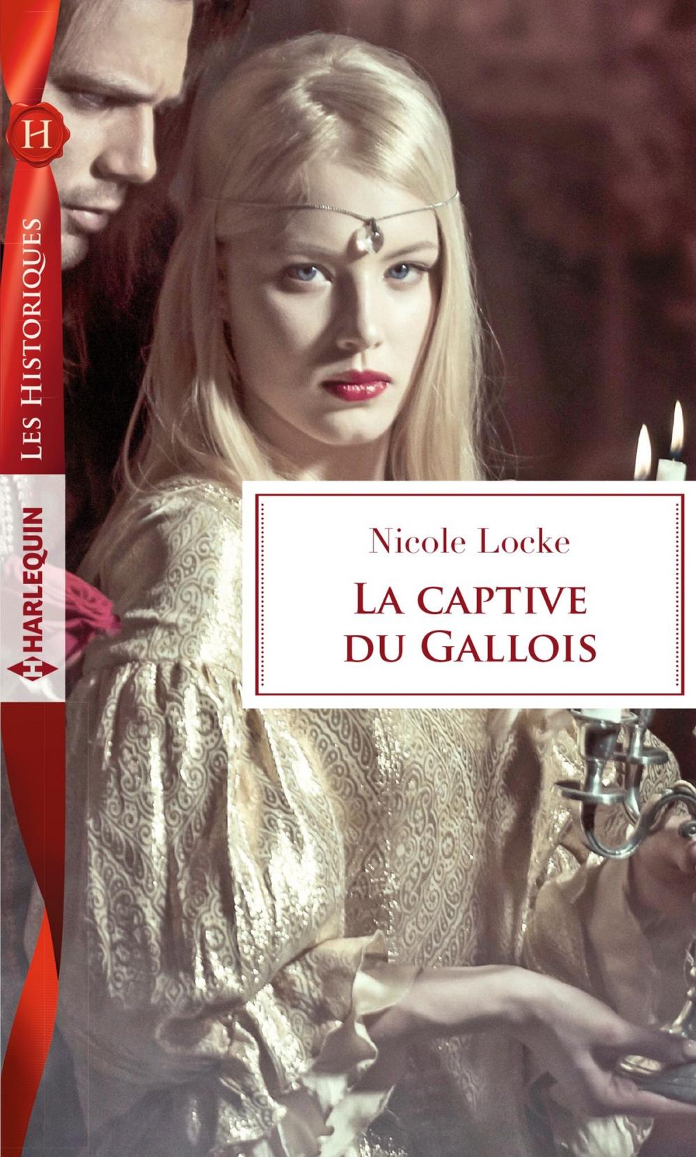 Big bigCover of La captive du Gallois