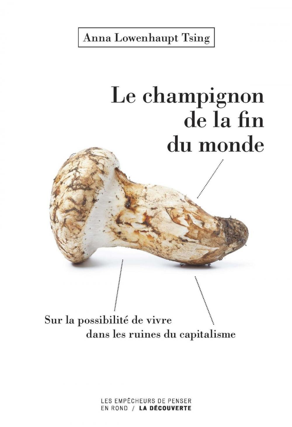 Big bigCover of Le champignon de la fin du monde