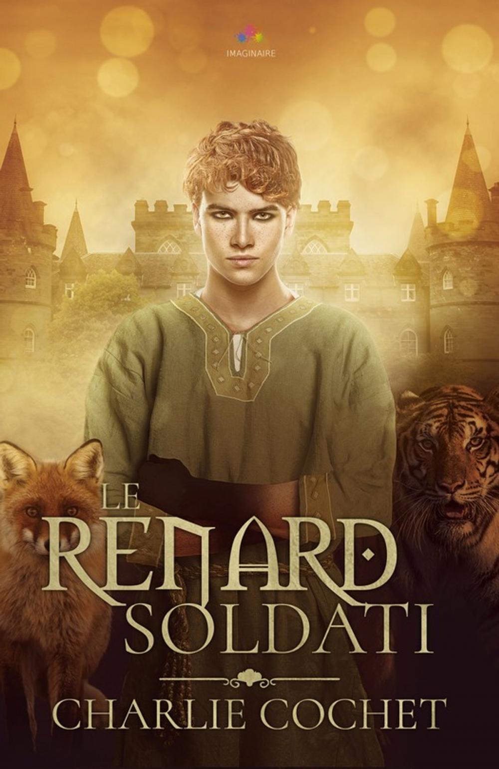 Big bigCover of Le renard Soldati