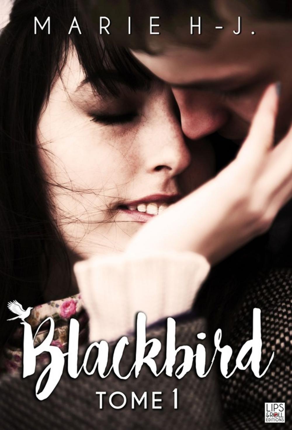 Big bigCover of BlackBird - Tome 1