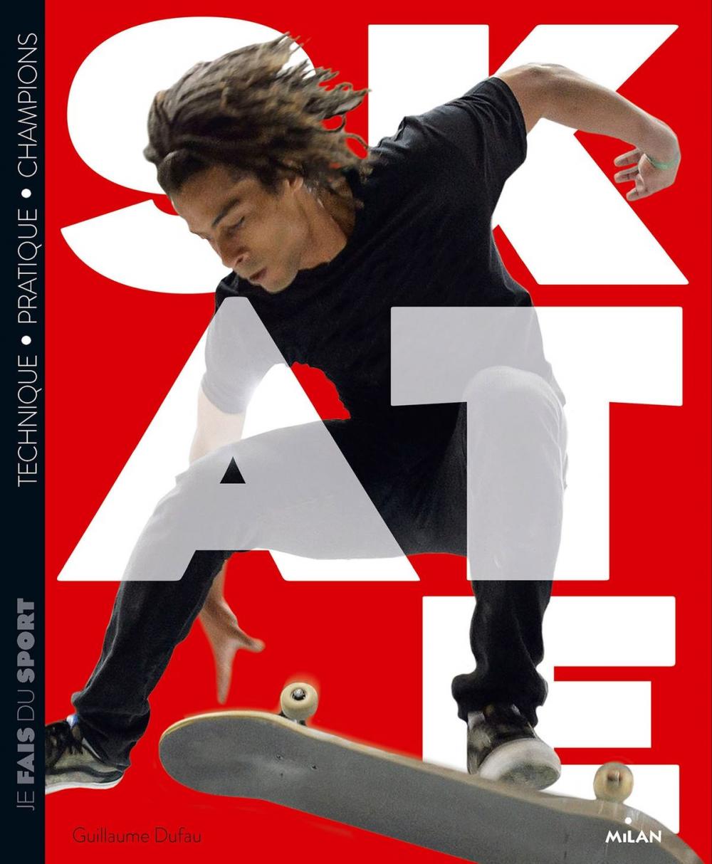 Big bigCover of Skate