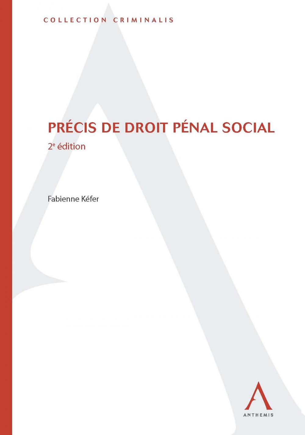 Big bigCover of Précis de droit pénal social