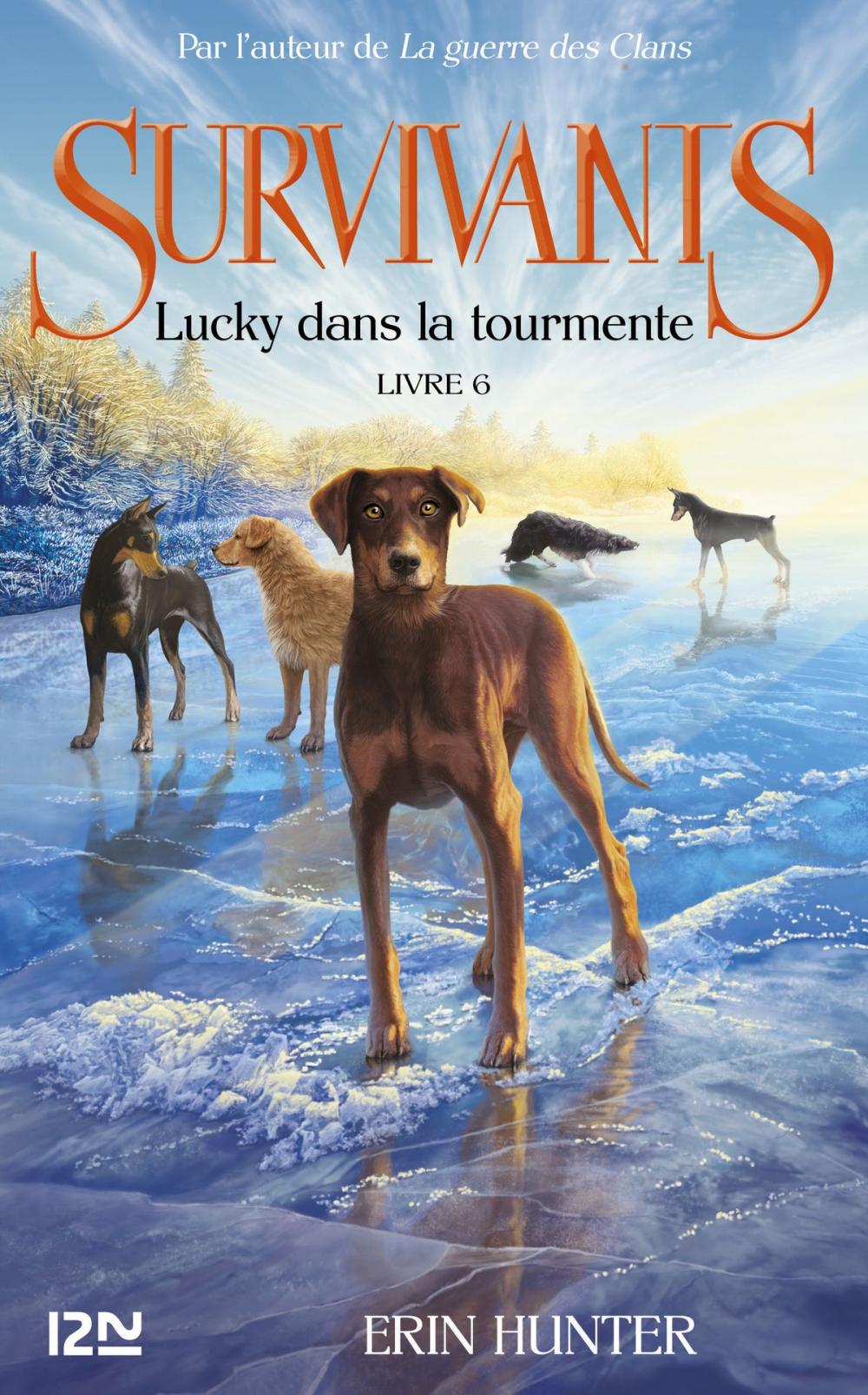 Big bigCover of Survivants - tome 6 : Lucky dans la tourmente