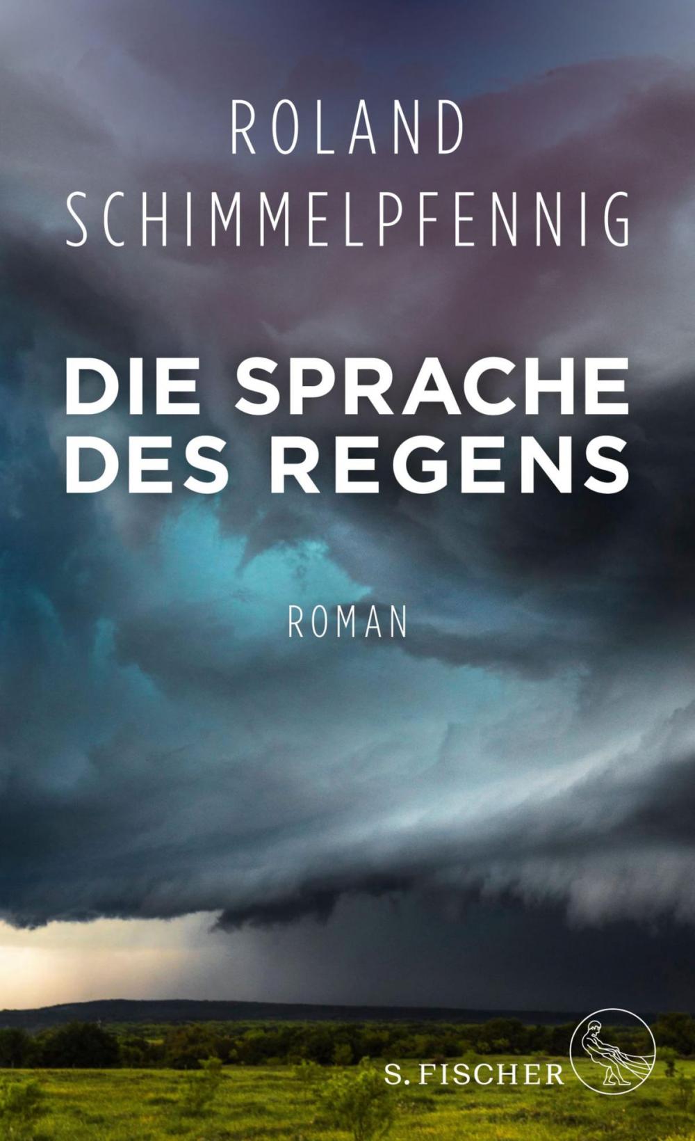 Big bigCover of Die Sprache des Regens