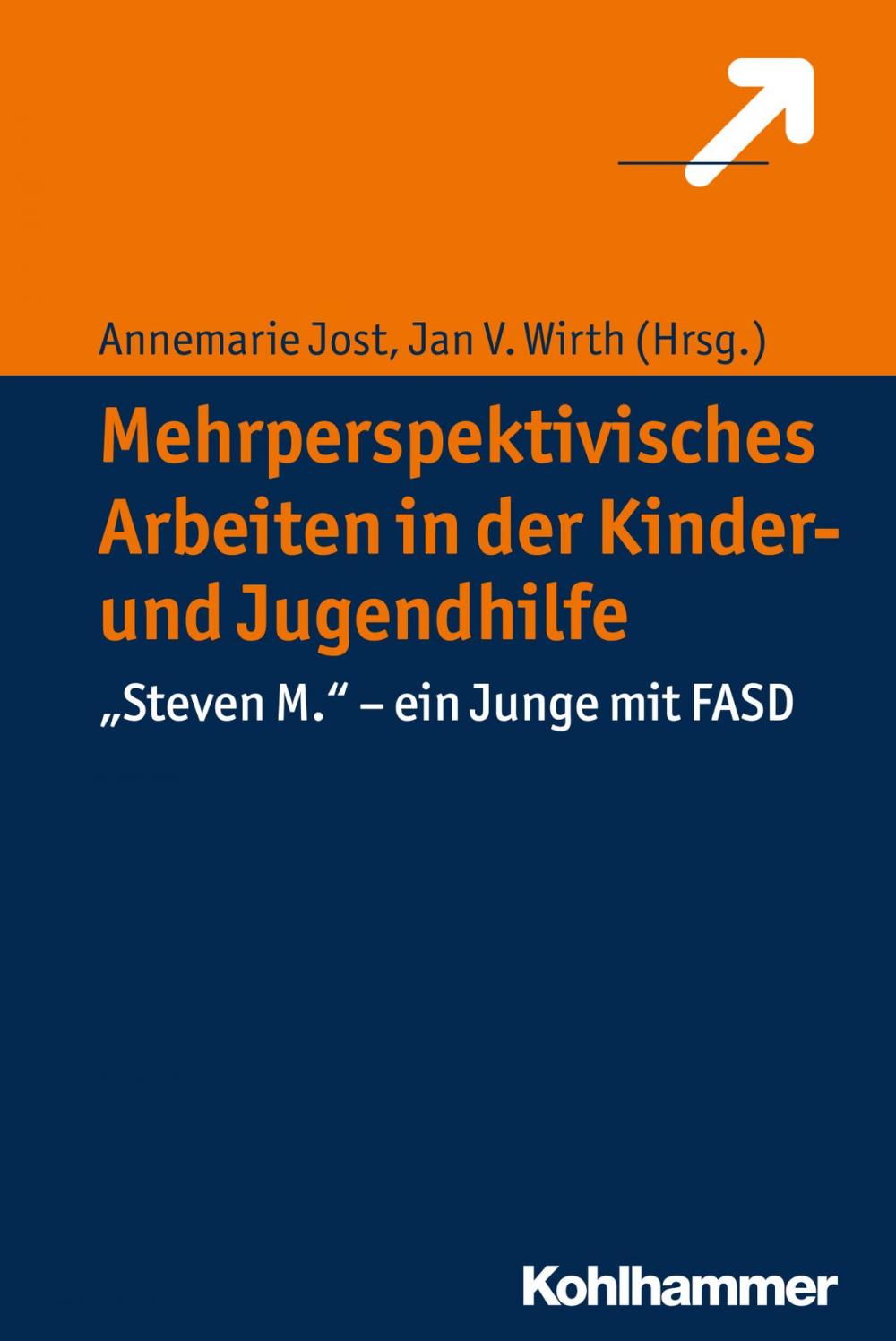 Big bigCover of Mehrperspektivisches Arbeiten in der Kinder- und Jugendhilfe