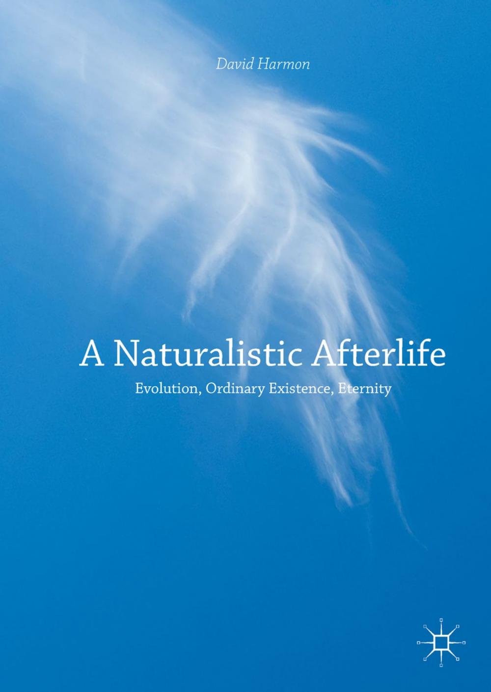 Big bigCover of A Naturalistic Afterlife