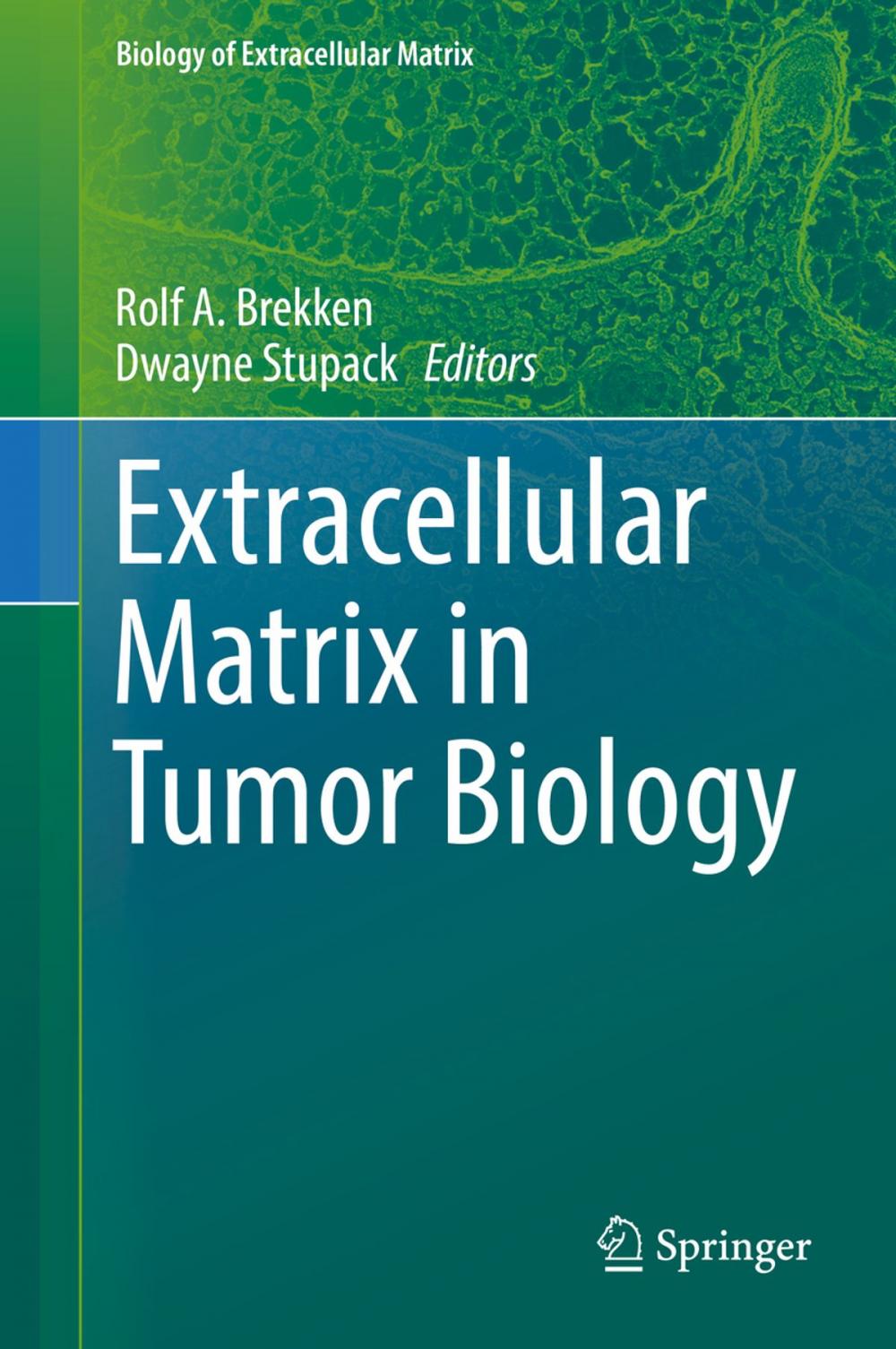 Big bigCover of Extracellular Matrix in Tumor Biology