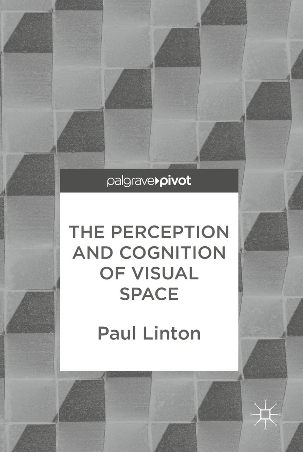 Big bigCover of The Perception and Cognition of Visual Space