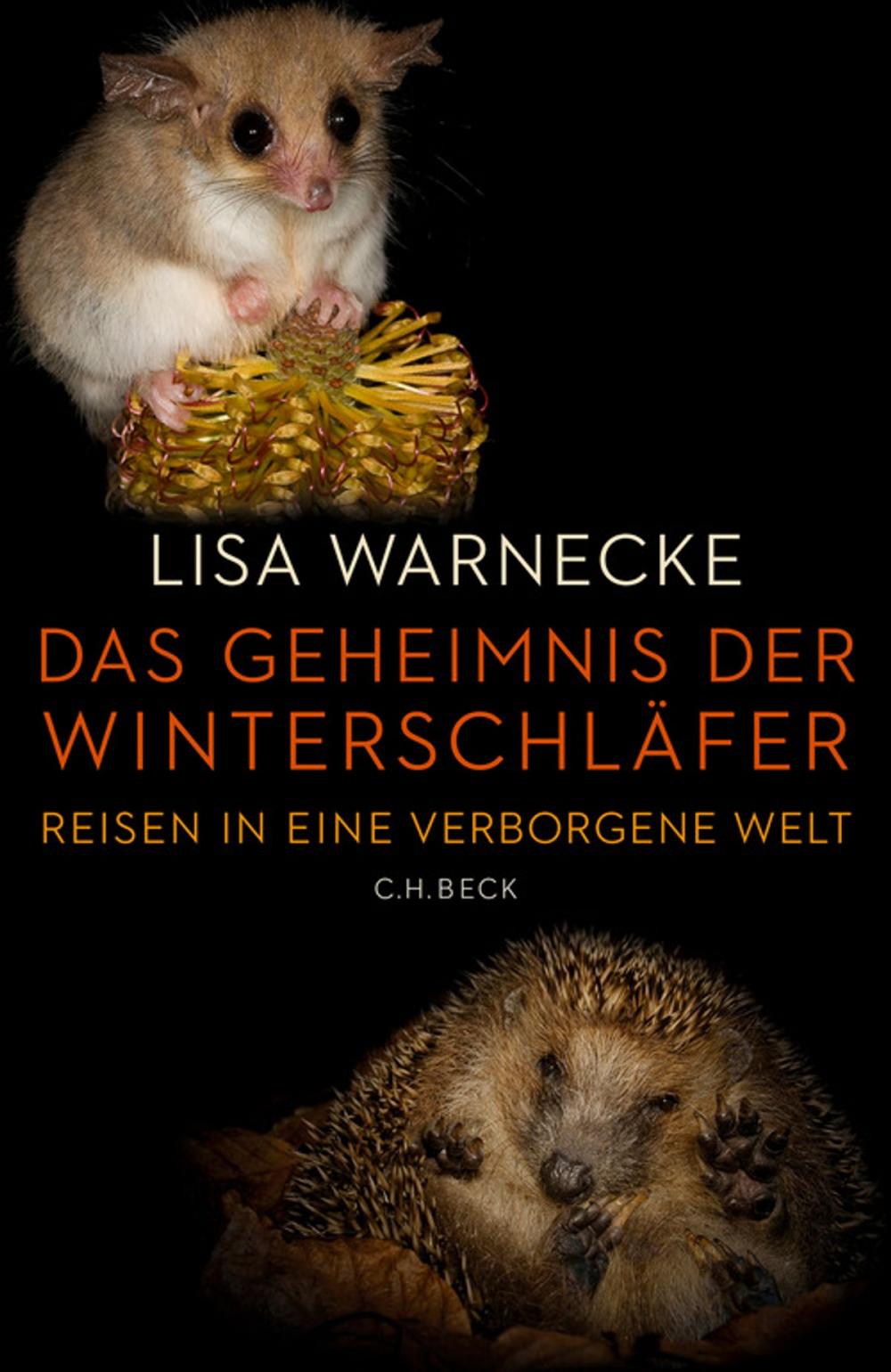 Big bigCover of Das Geheimnis der Winterschläfer