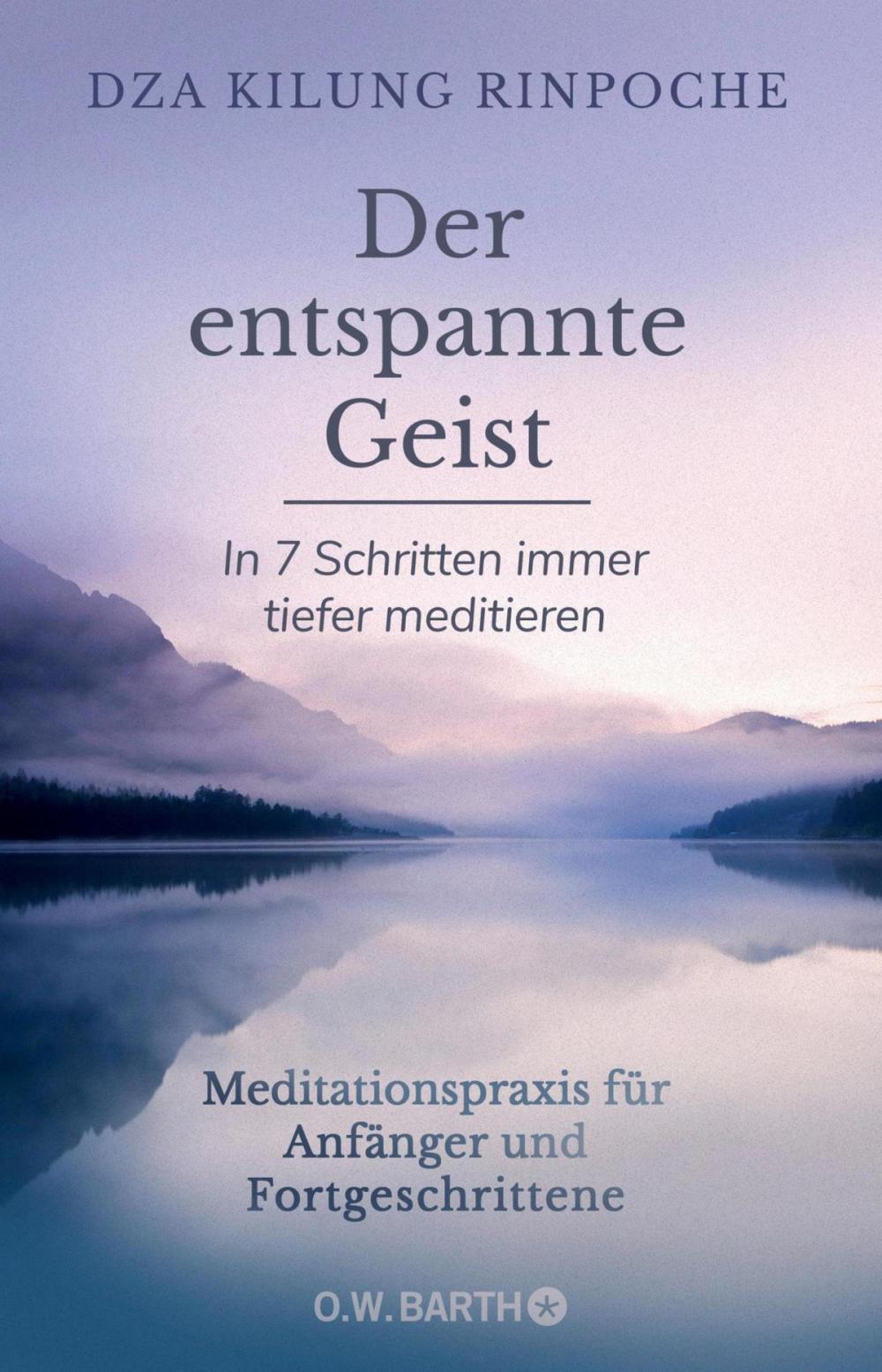 Big bigCover of Der entspannte Geist