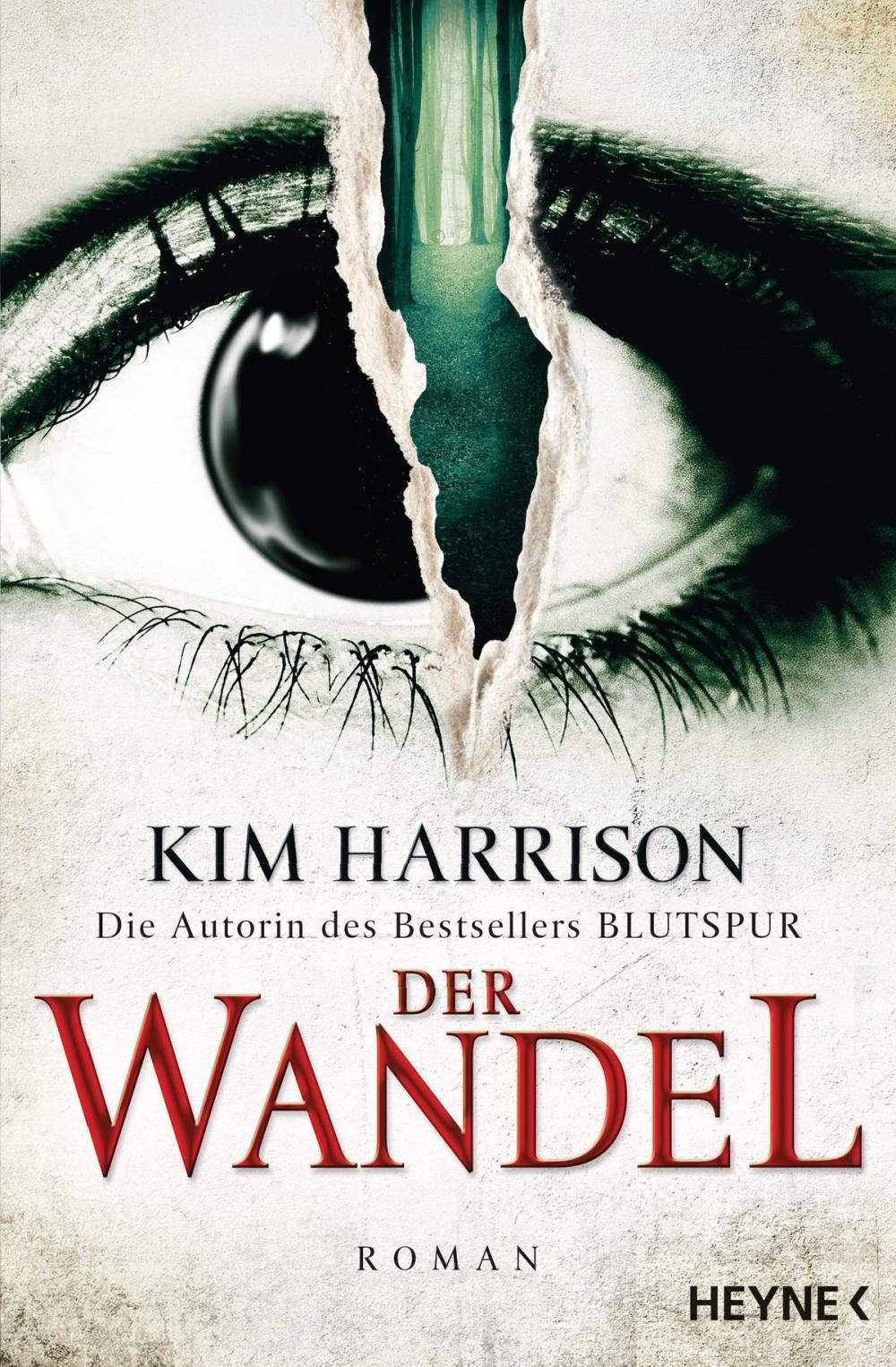 Big bigCover of Der Wandel