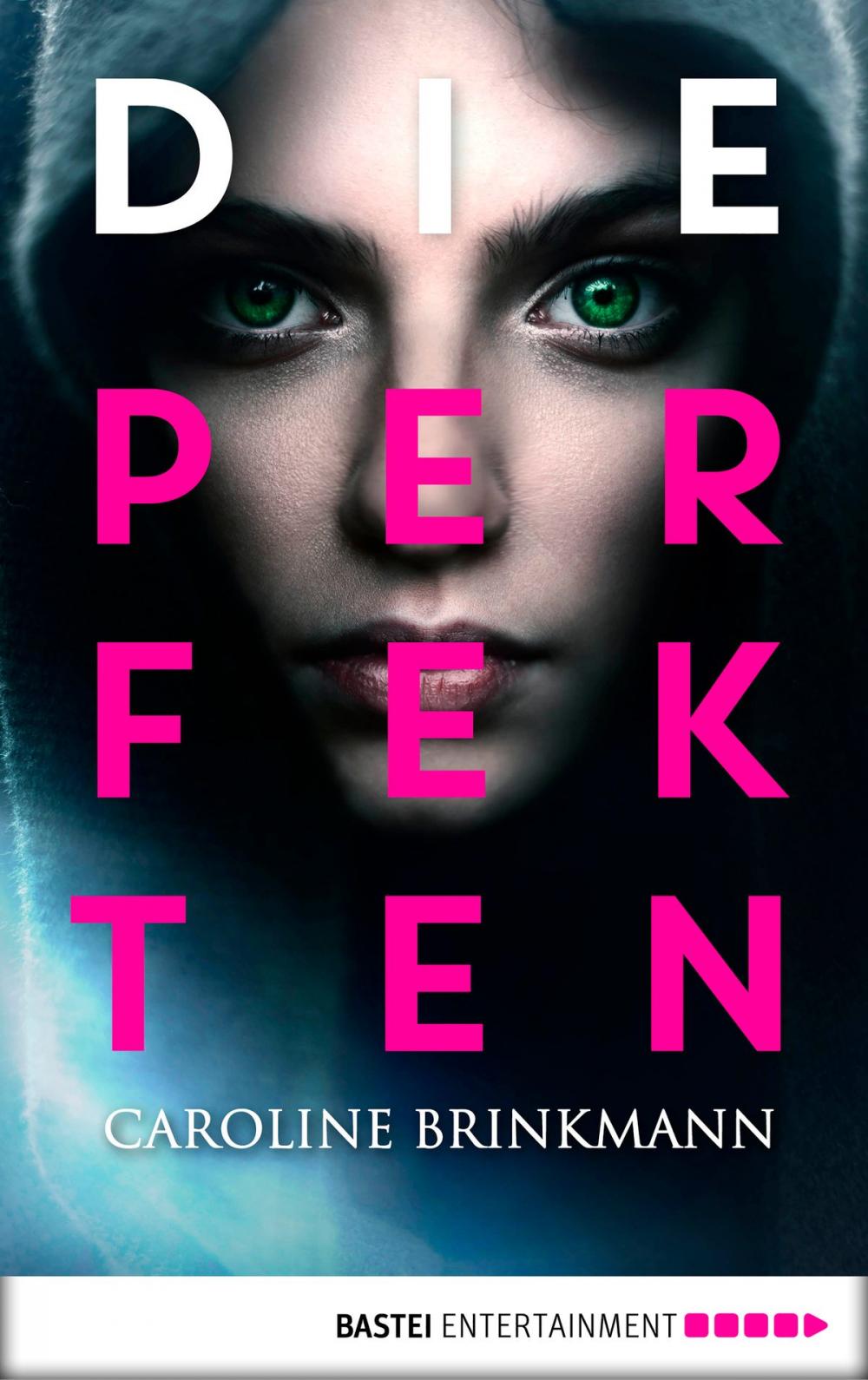 Big bigCover of Die Perfekten