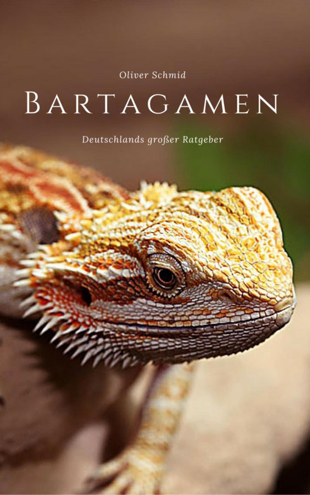 Big bigCover of Bartagamen