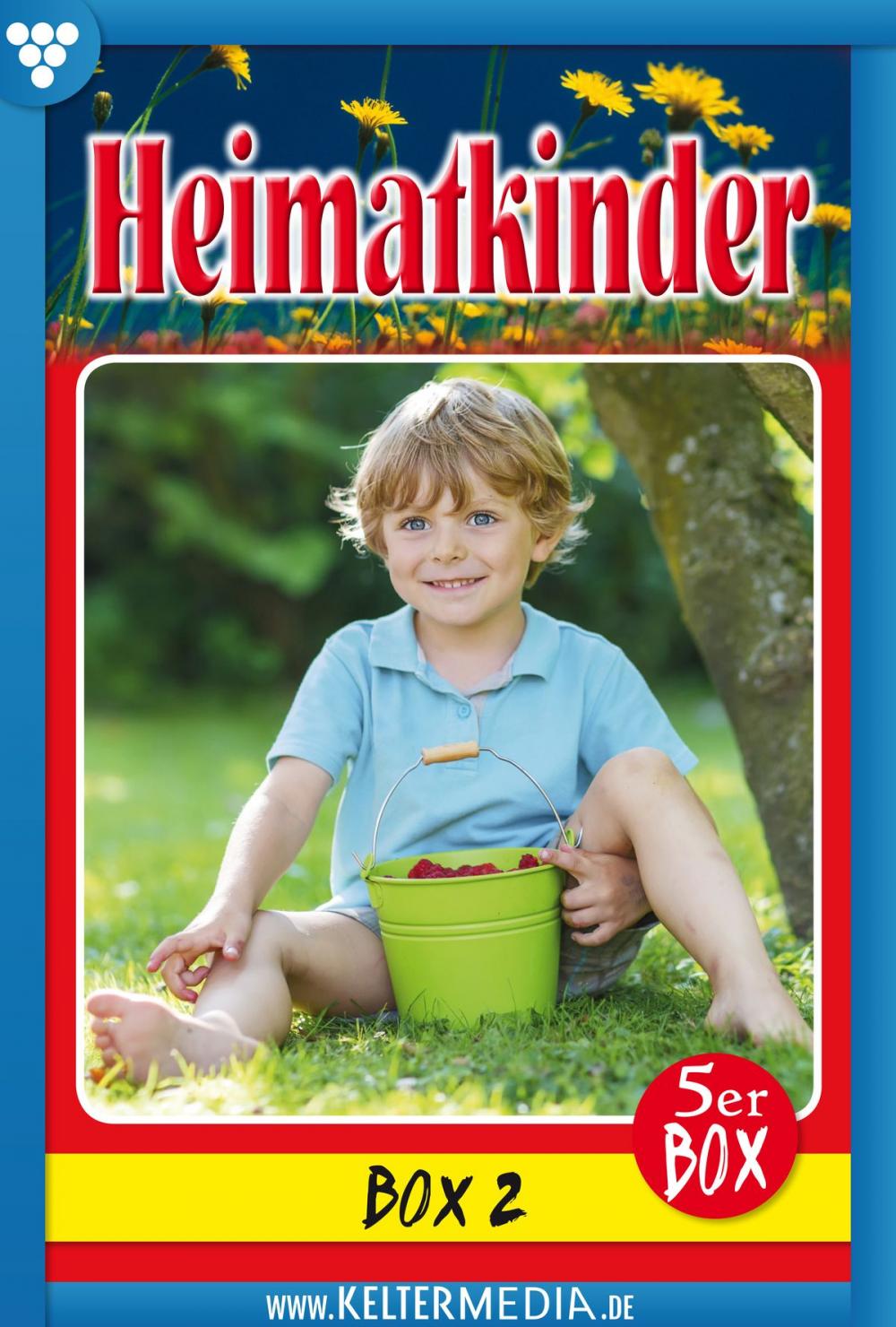 Big bigCover of Heimatkinder 5er Box 2 – Heimatroman