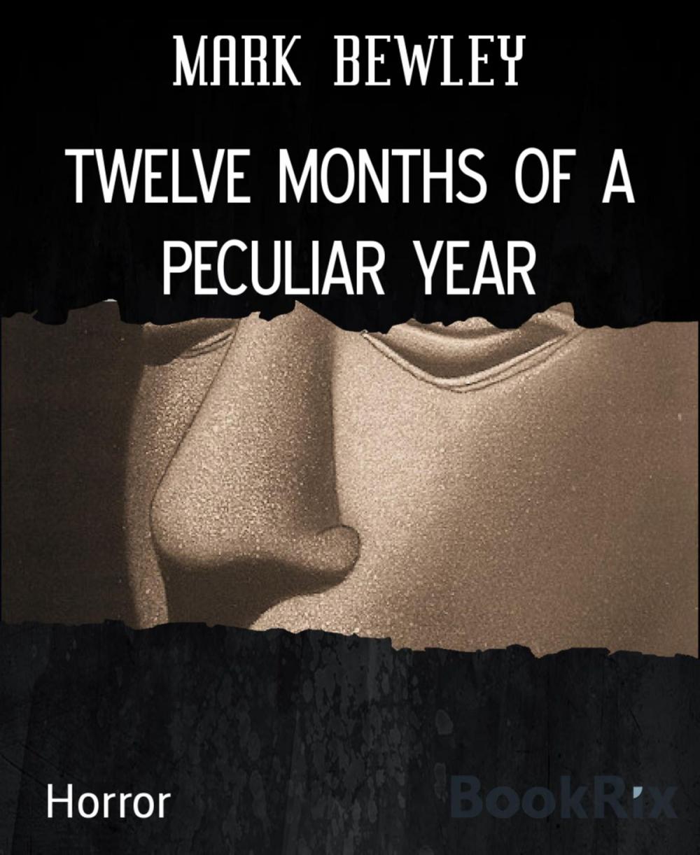 Big bigCover of TWELVE MONTHS OF A PECULIAR YEAR