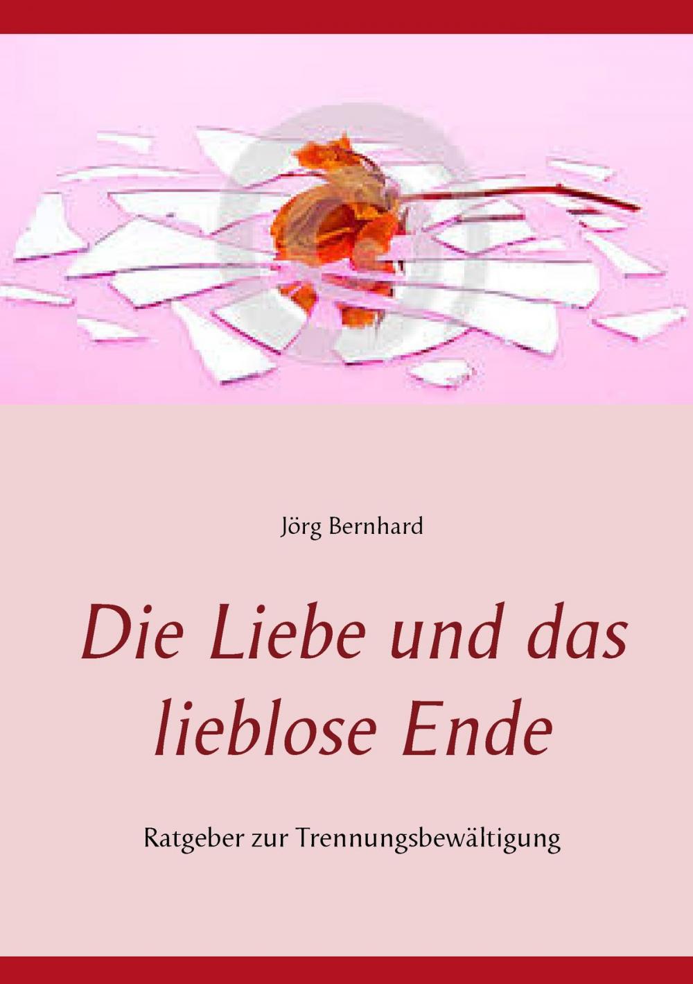 Big bigCover of Die Liebe und das lieblose Ende