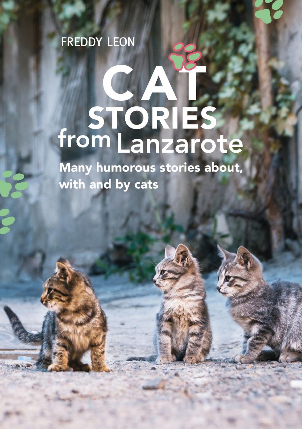 Big bigCover of Cat Stories from Lanzarote