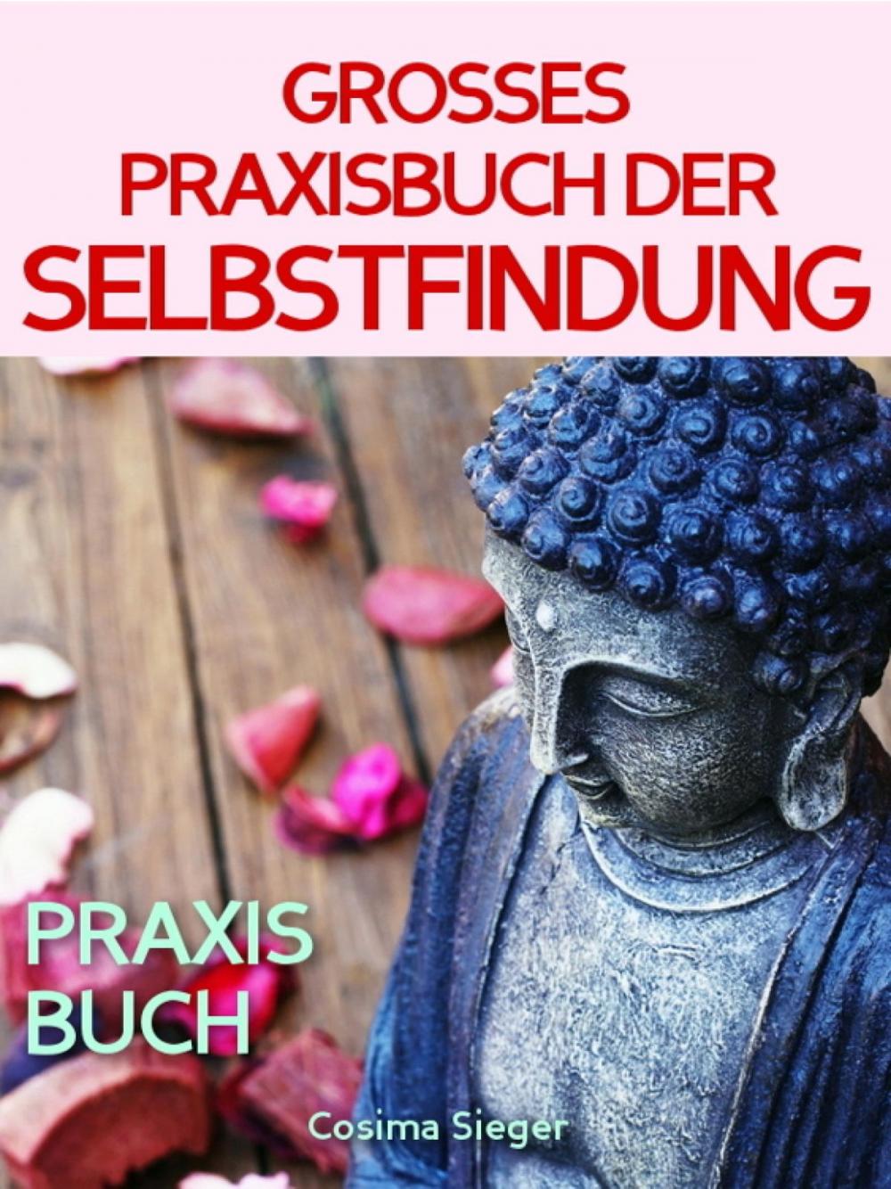 Big bigCover of Selbstfindung: DAS GROSSE PRAXISBUCH DER SELBSTFINDUNG! Zu sich selbst finden, eigene (Herzens-) Ziele erreichen und ein Leben leben, dass wirklich passt! Eine Schritt für Schritt Anleitung zur Selbstfindung