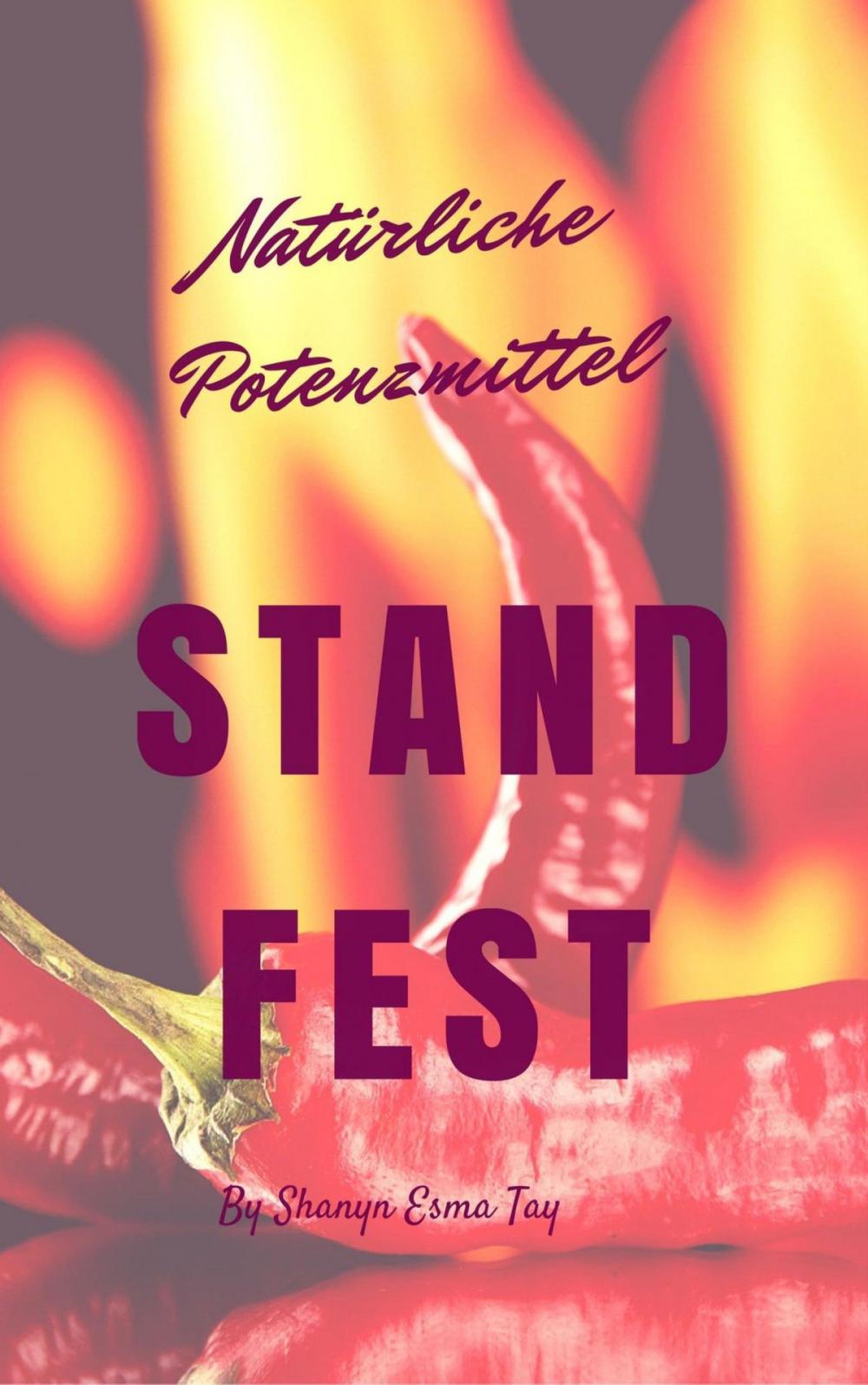 Big bigCover of Standfest