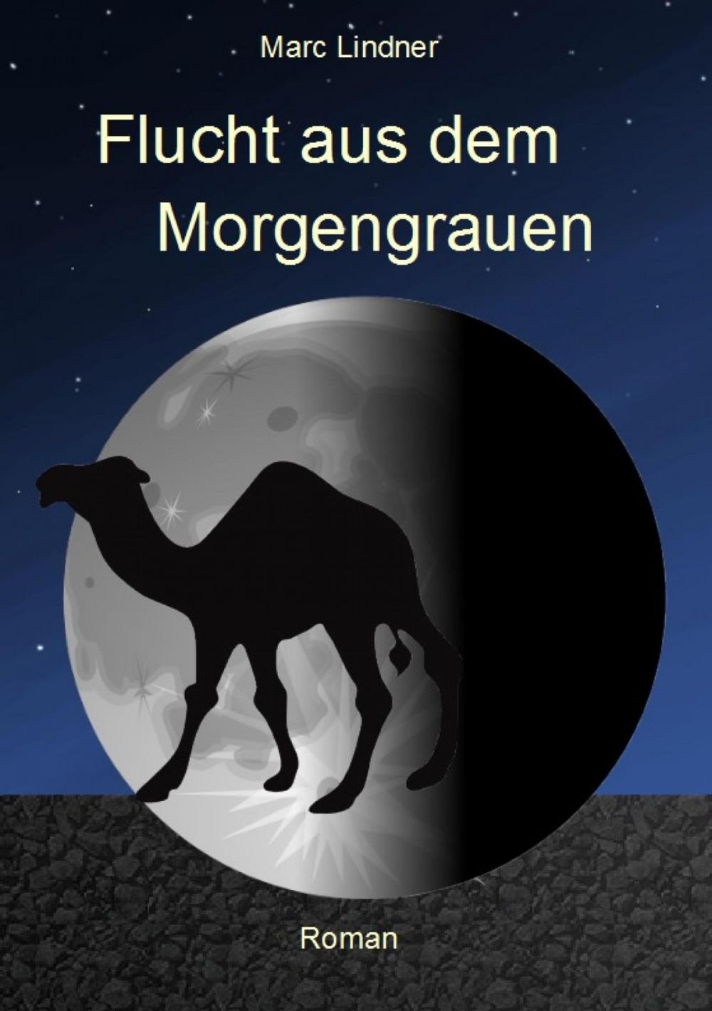 Big bigCover of Flucht aus dem Morgengrauen