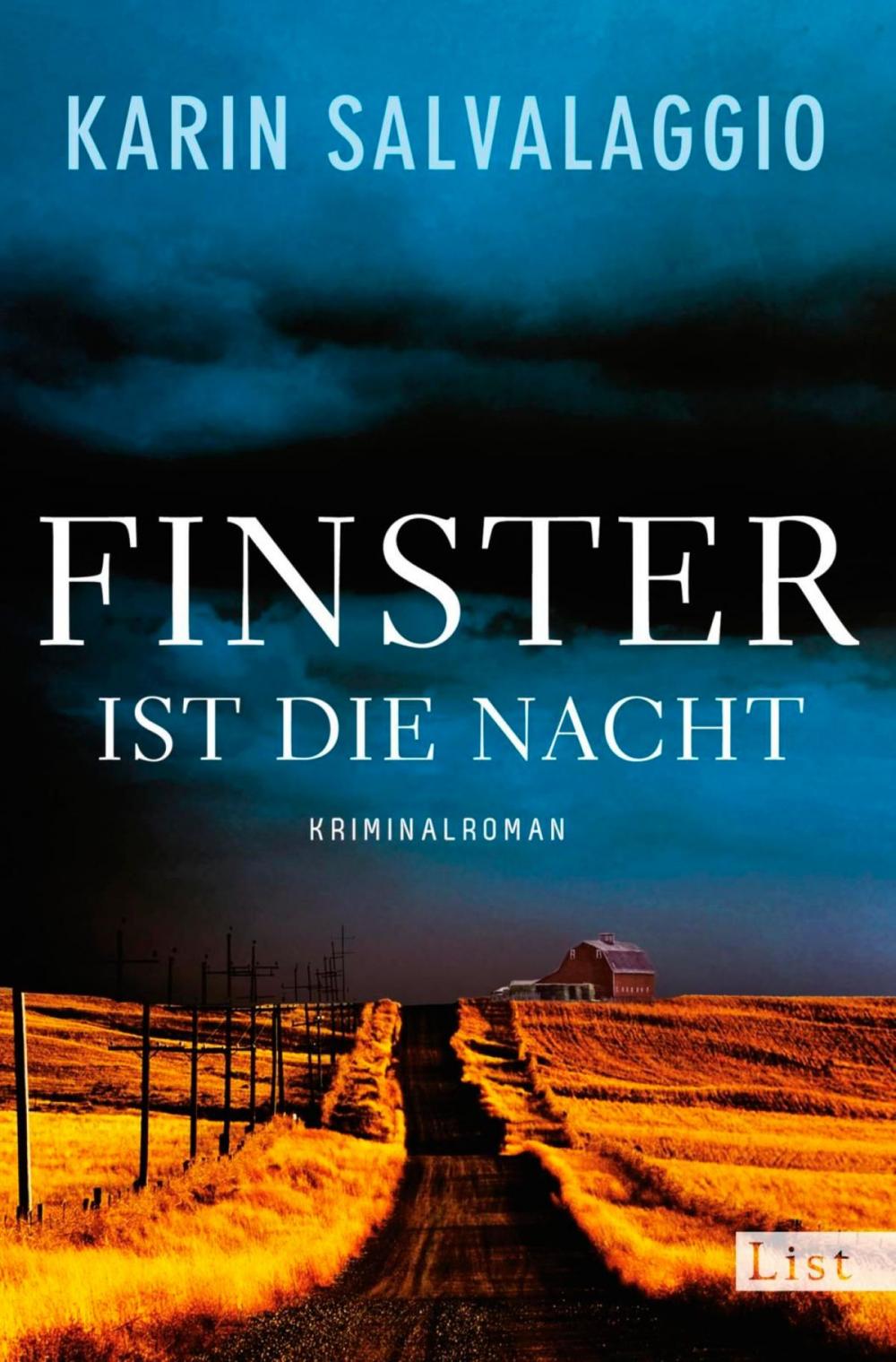 Big bigCover of Finster ist die Nacht