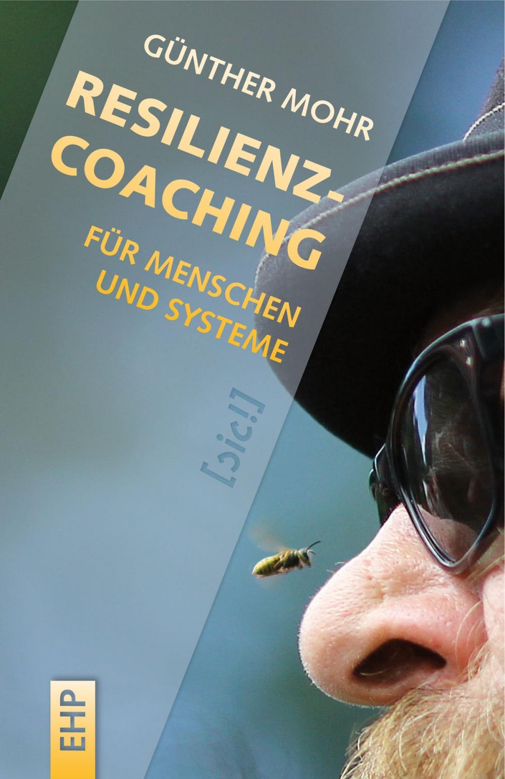 Big bigCover of Resilienzcoaching für Menschen und Systeme