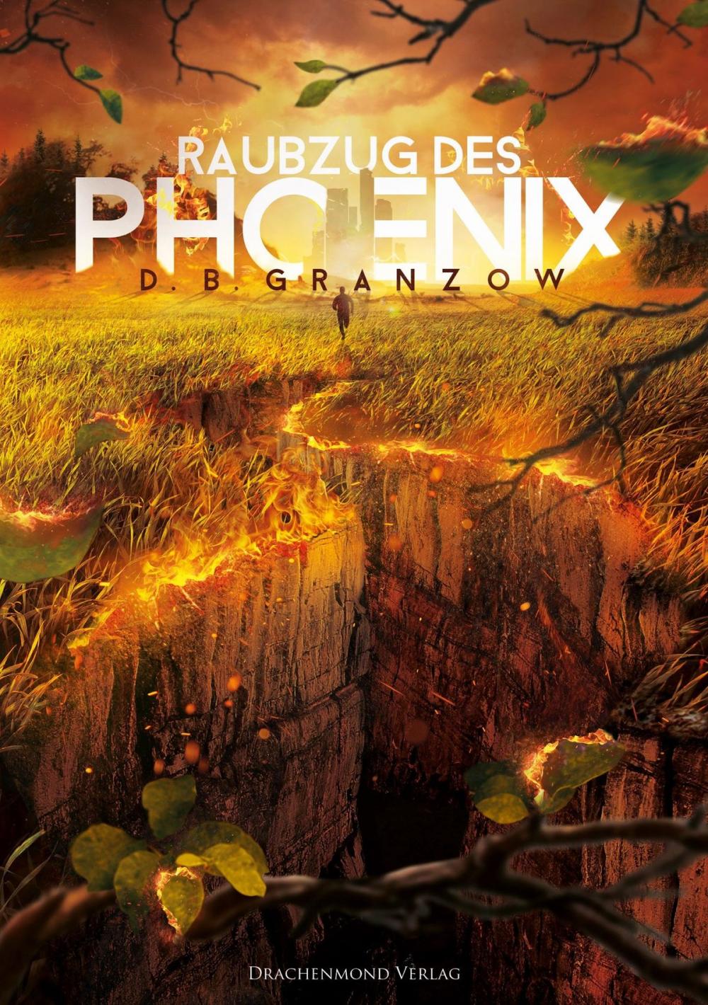 Big bigCover of Raubzug des Phoenix