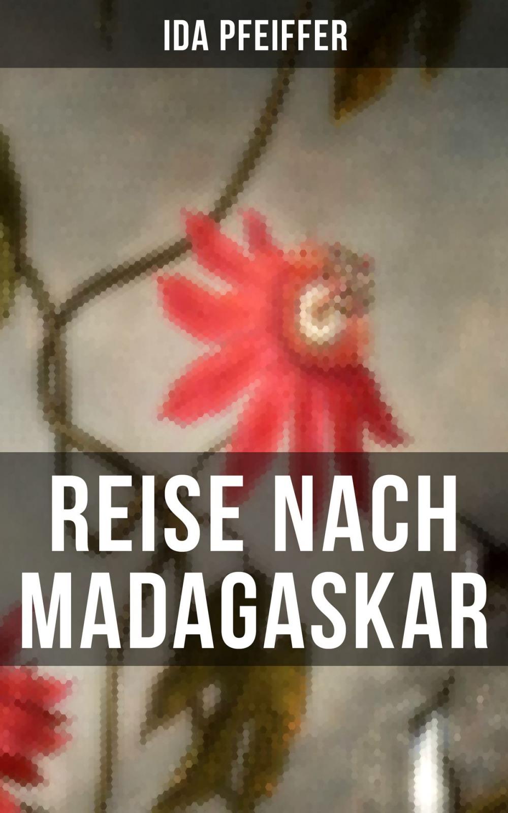 Big bigCover of Reise nach Madagaskar