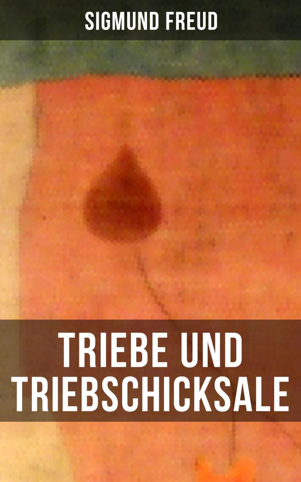 Big bigCover of Triebe und Triebschicksale