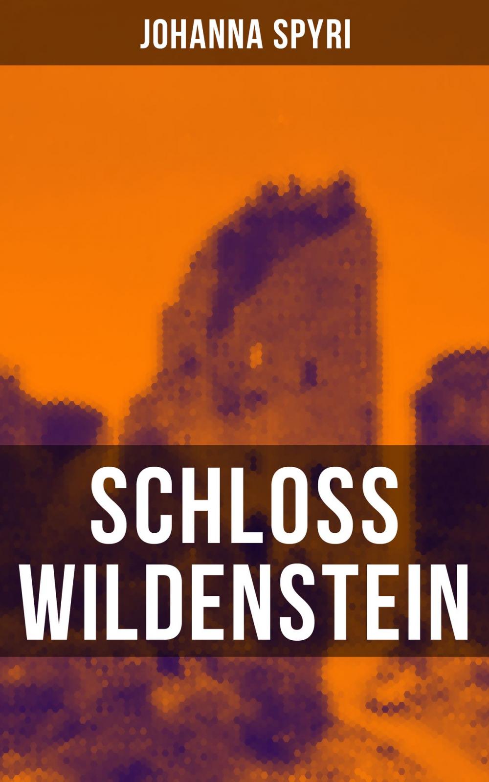 Big bigCover of Schloss Wildenstein