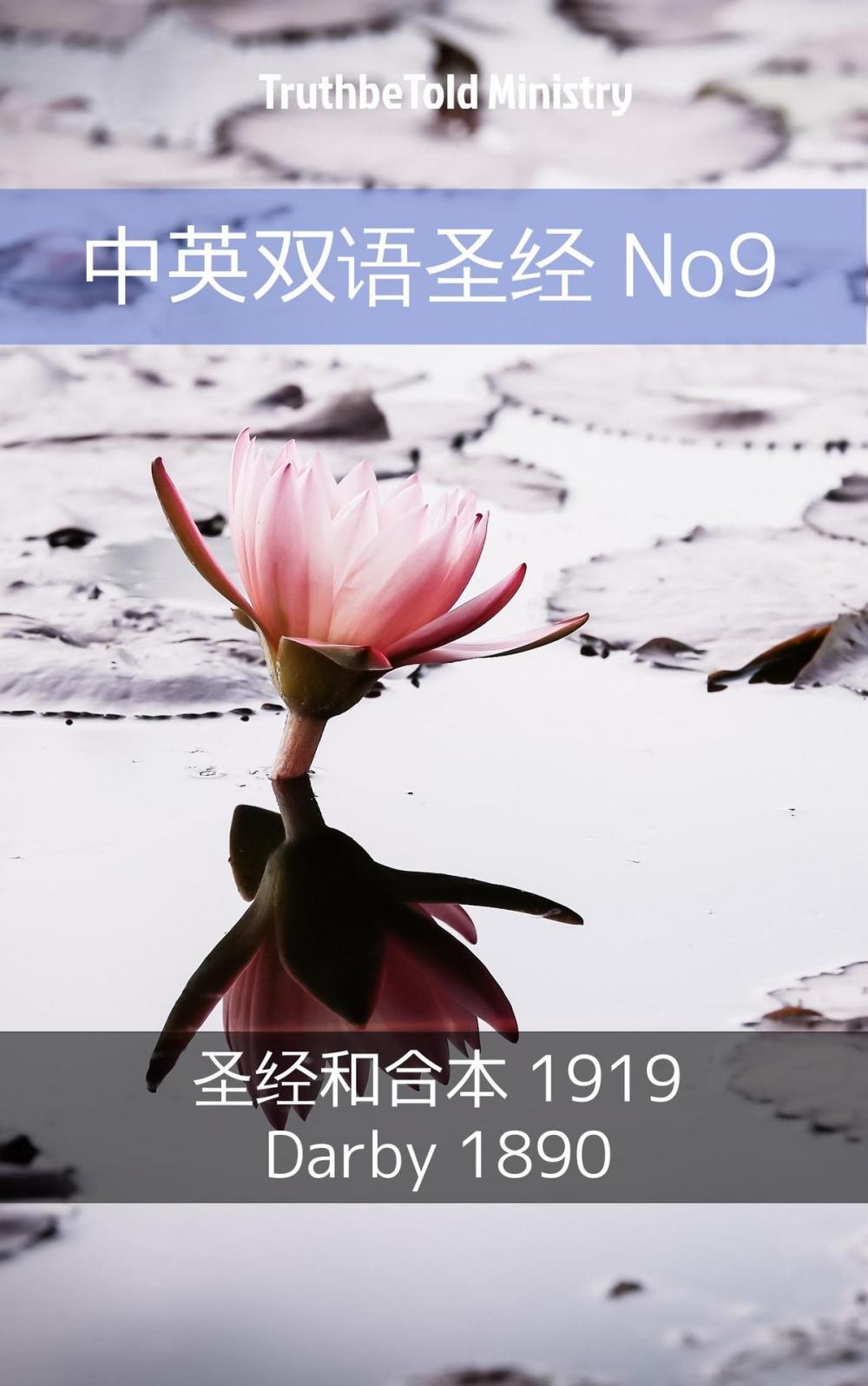 Big bigCover of 中英双语圣经 No9