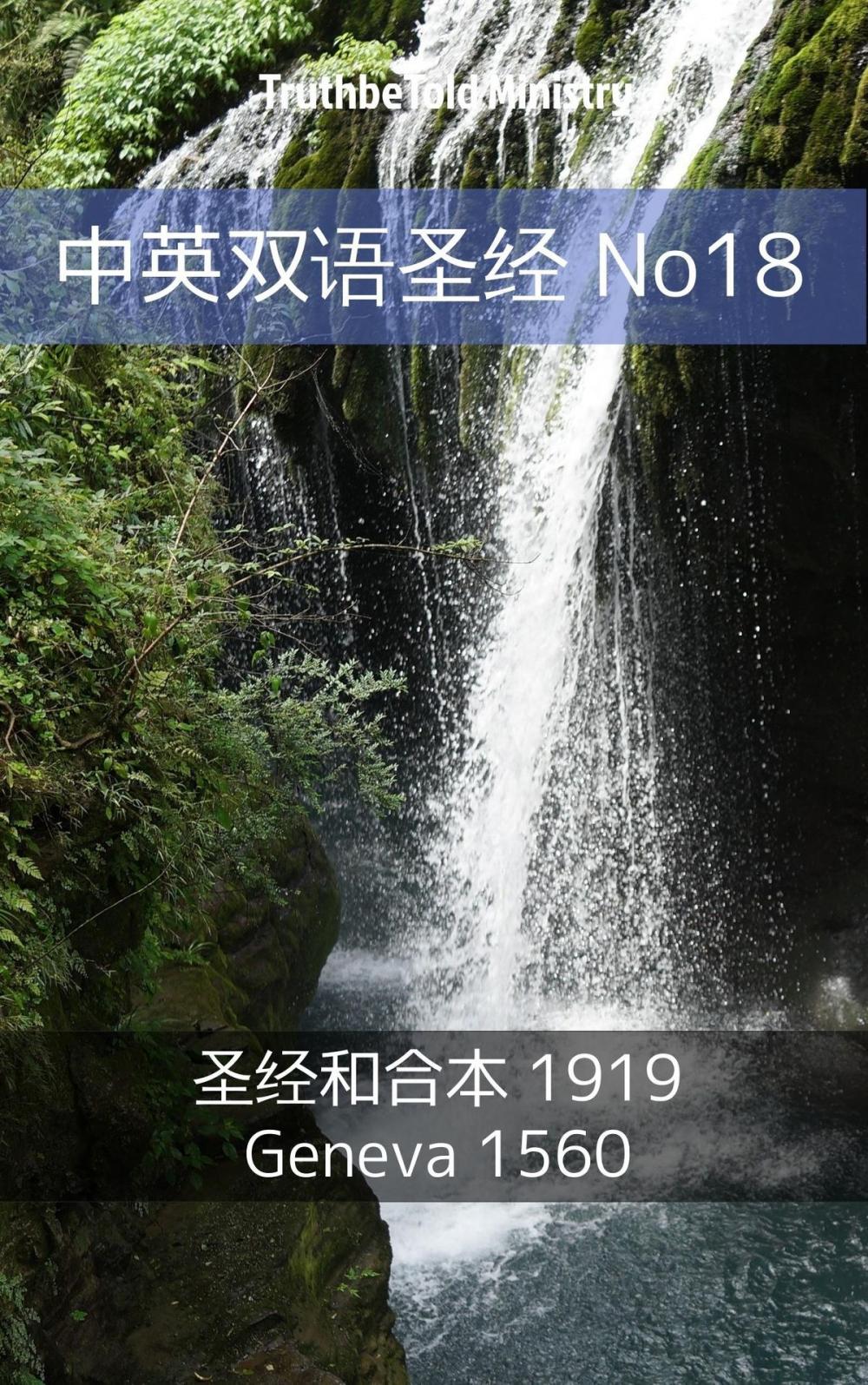 Big bigCover of 中英双语圣经 No18