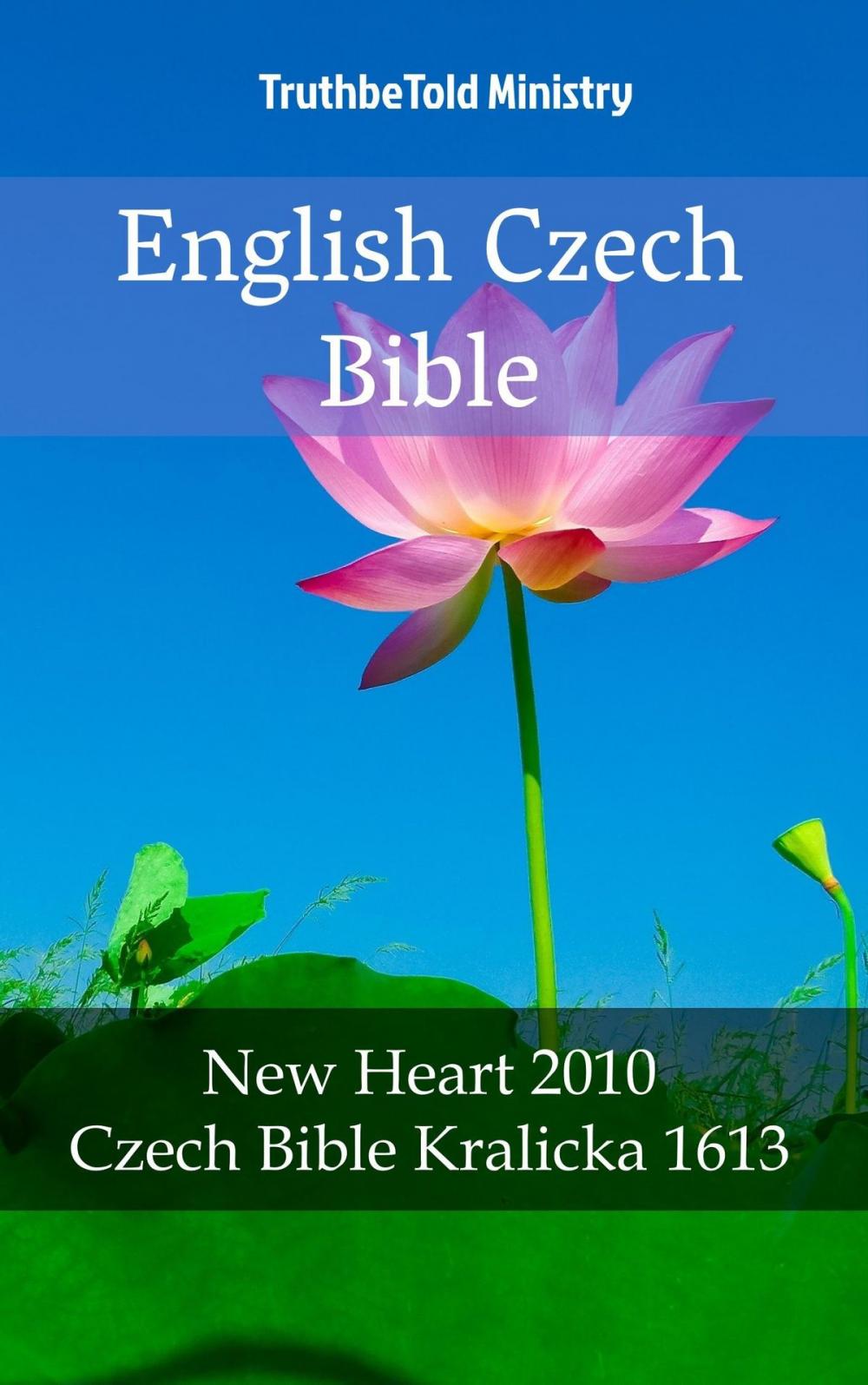 Big bigCover of English Czech Bible №9