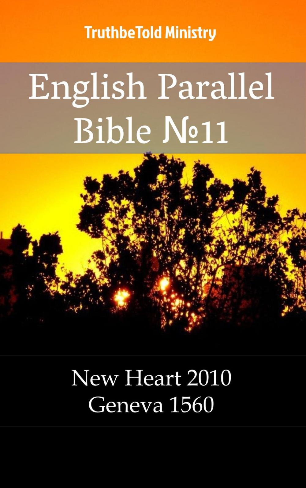 Big bigCover of English English Bible №11