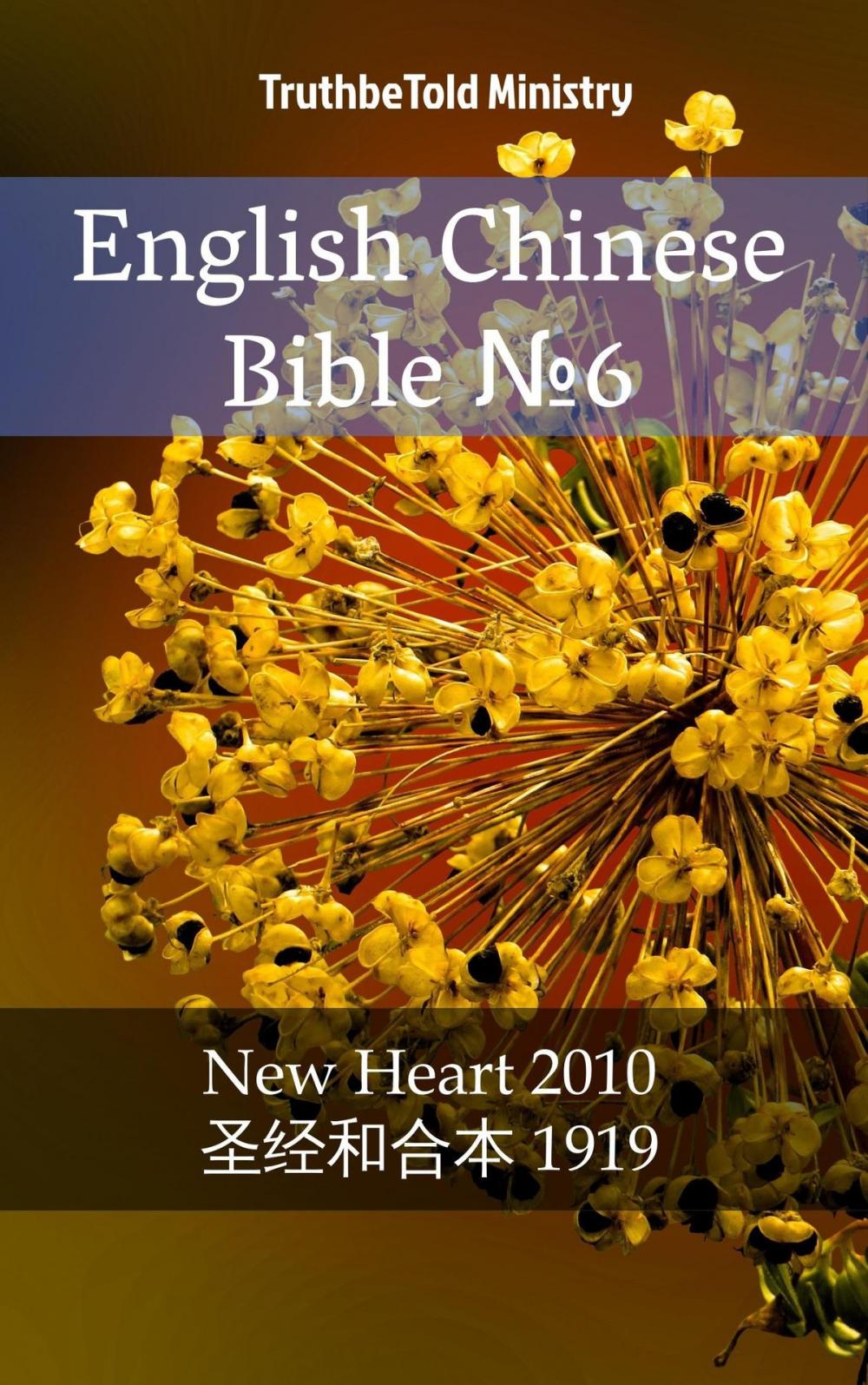 Big bigCover of English Chinese Bible №6