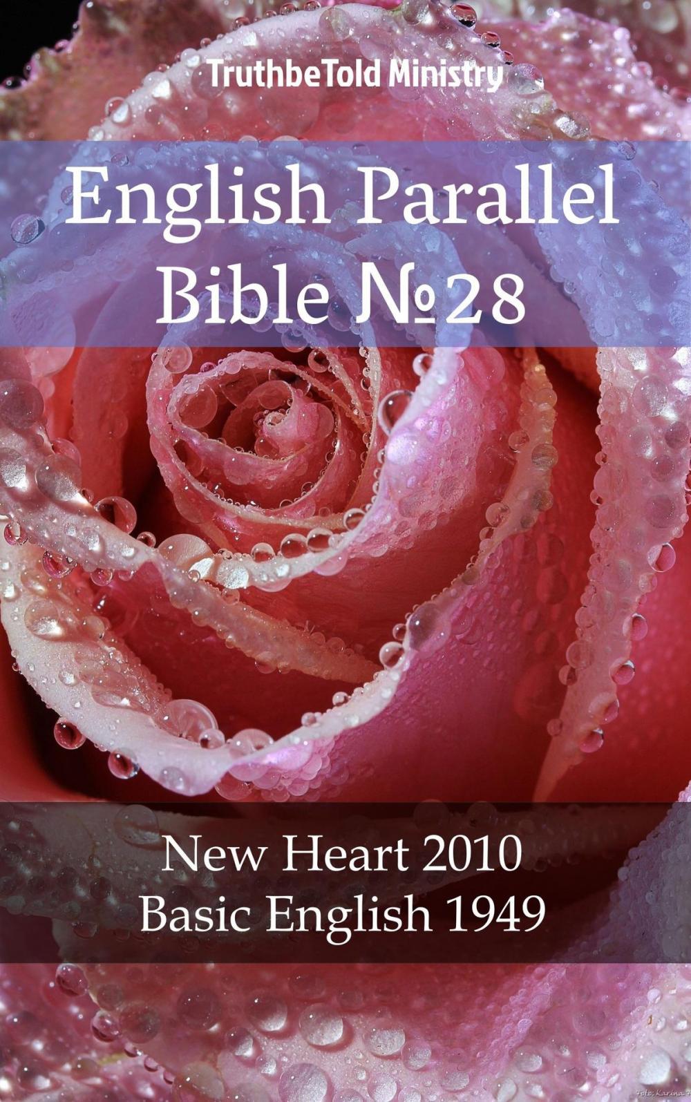 Big bigCover of English Parallel Bible No28