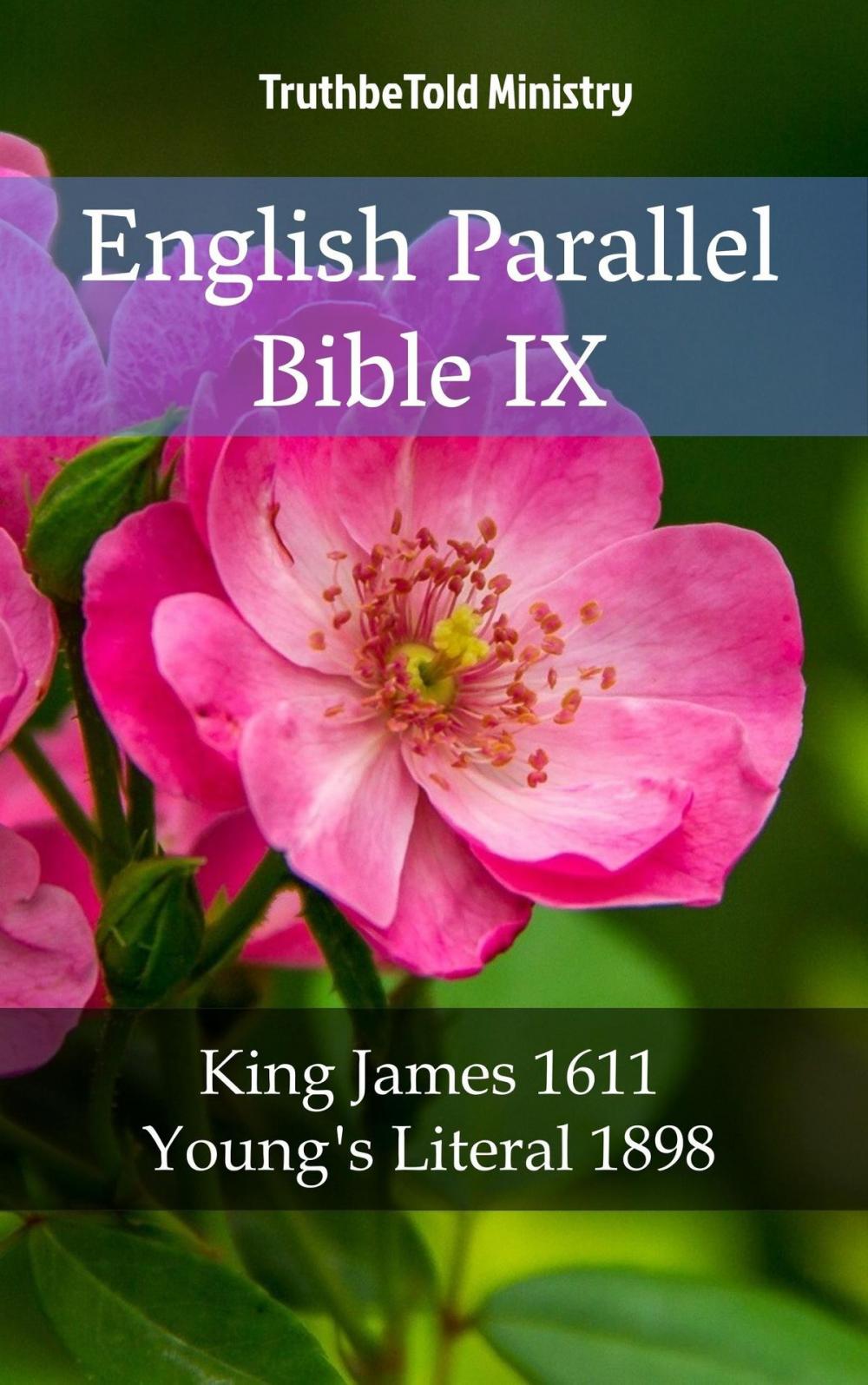 Big bigCover of English Parallel Bible IX