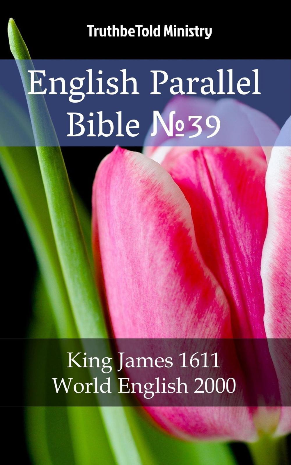 Big bigCover of English Parallel Bible No39