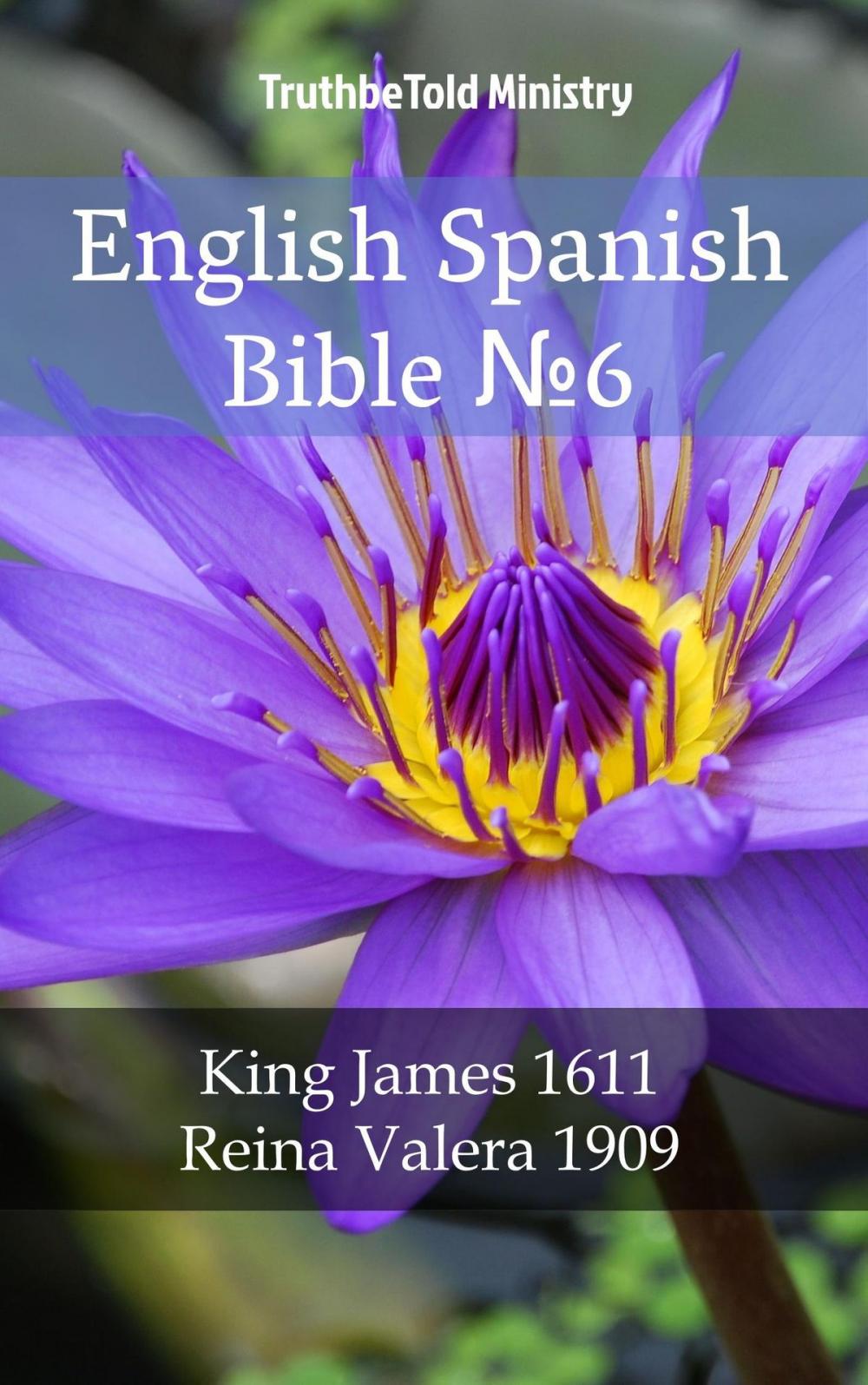 Big bigCover of English Spanish Bible №6