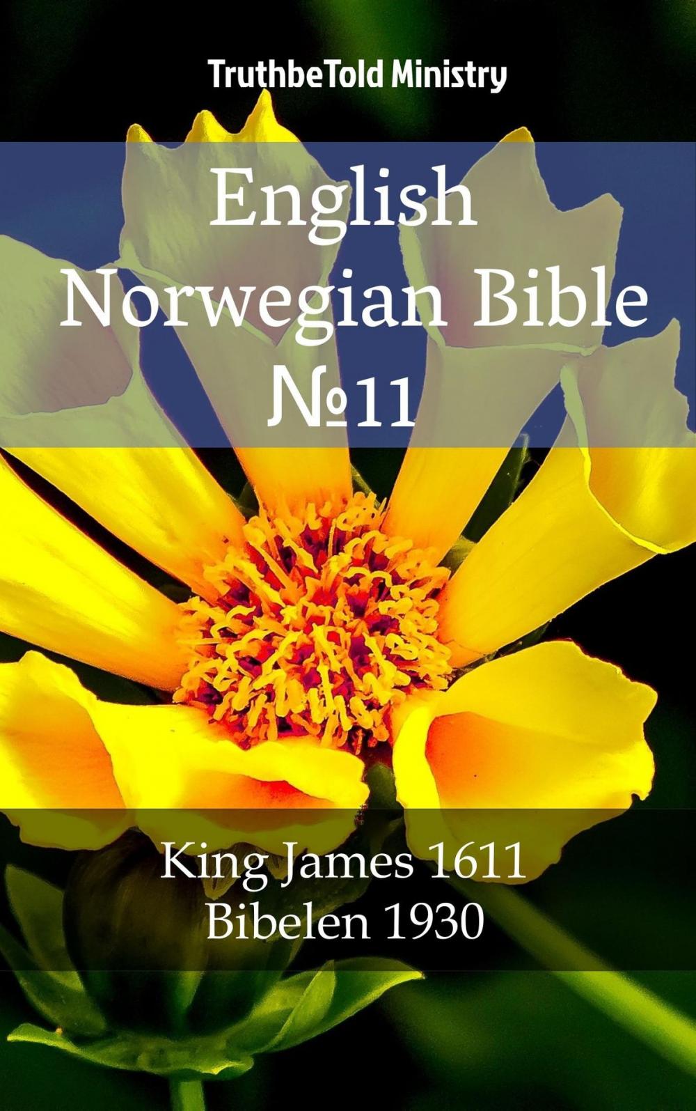 Big bigCover of English Norwegian Bible №11