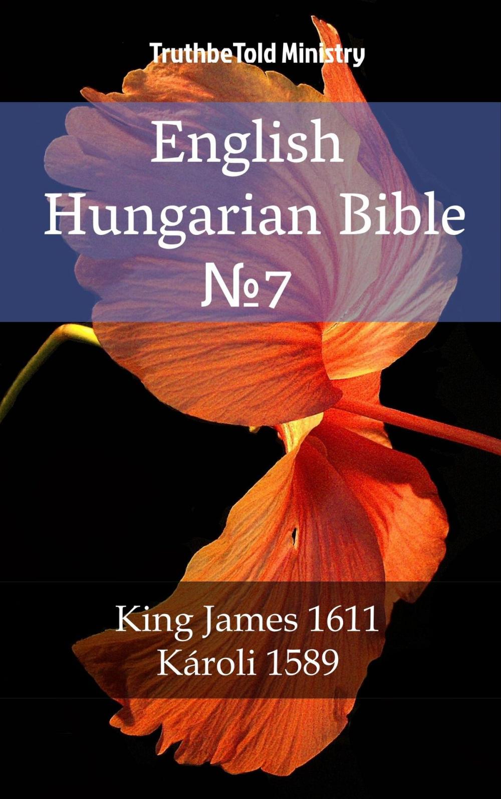 Big bigCover of English Hungarian Bible №7